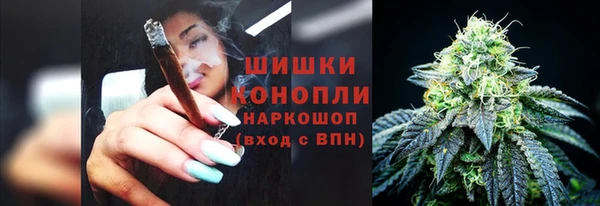 ГАЛЛЮЦИНОГЕННЫЕ ГРИБЫ Абаза