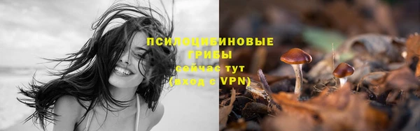 ГАЛЛЮЦИНОГЕННЫЕ ГРИБЫ Абаза