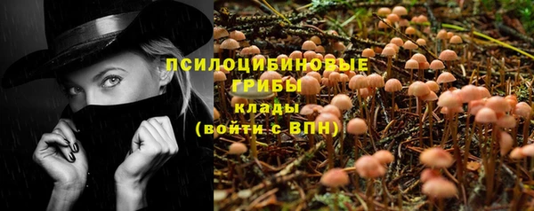 амф Алексеевка