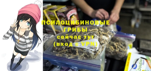 амф Алексеевка