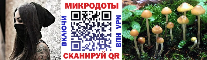 Галлюциногенные грибы Cubensis  Новочебоксарск 